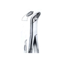  Extracting Forceps American Pattern